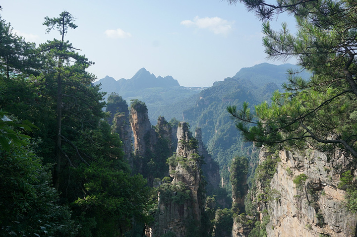 天朦朦亮,客栈老板开车带着去看日出 在老屋场