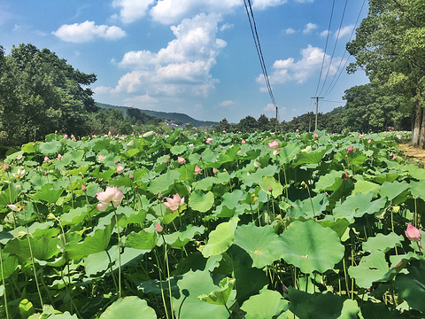 韶山旅游景点攻略图