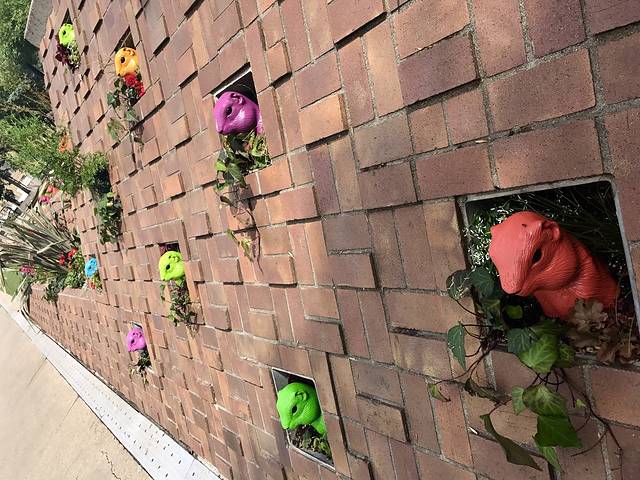 加拿大奥林匹克公园