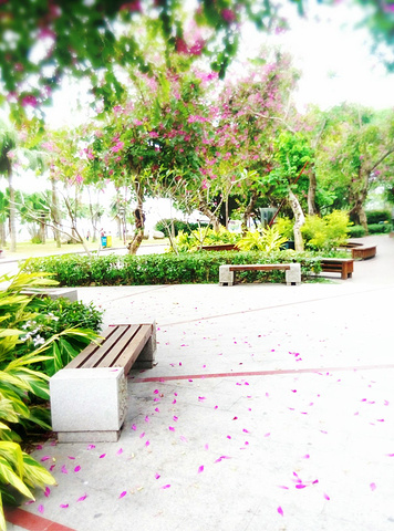 华侨公园: 位于汕头港湾北岸,是一个具有热带海