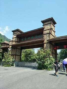 姑婆山旅游景点攻略图