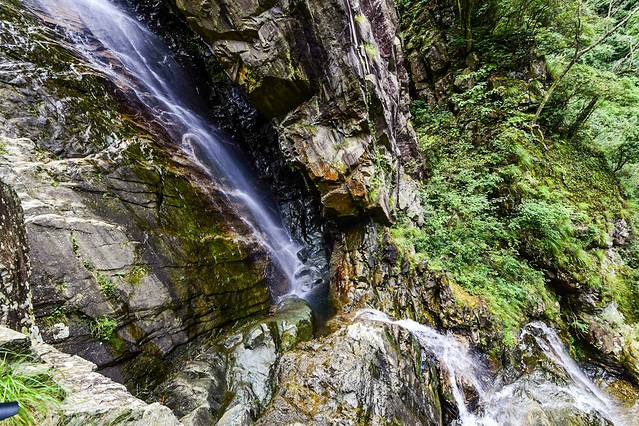 钱江源国家森林公园