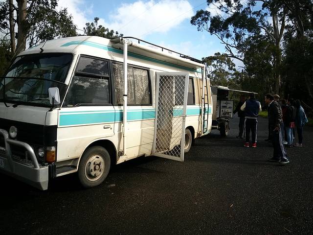 洛根海滩赏鲸平台