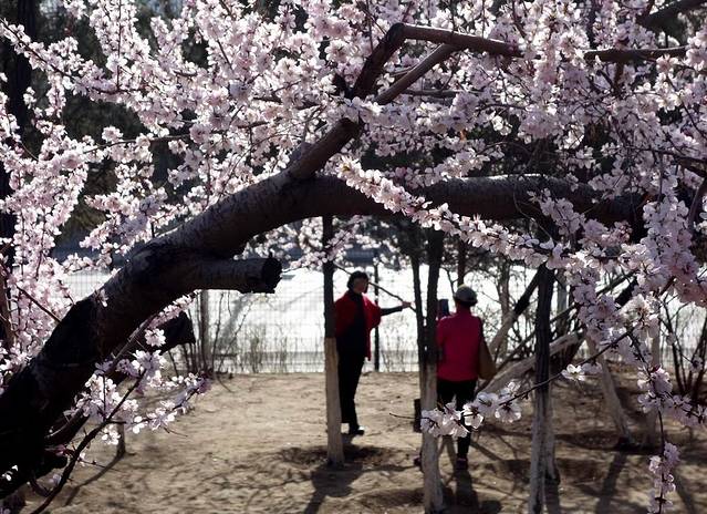 沈阳市国防教育主题公园