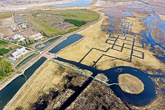 莫莫格国家级自然保护区