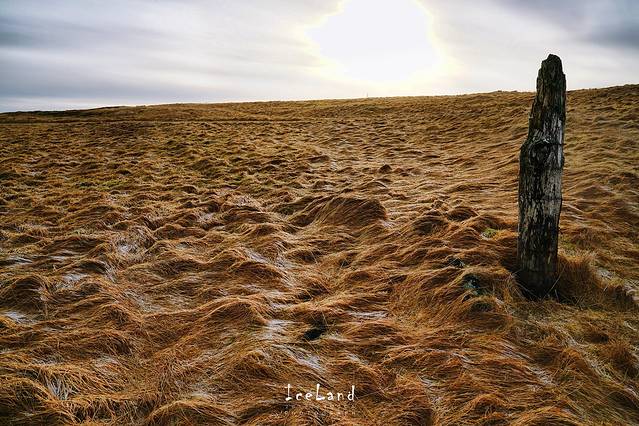 斯奈山冰川国家公园