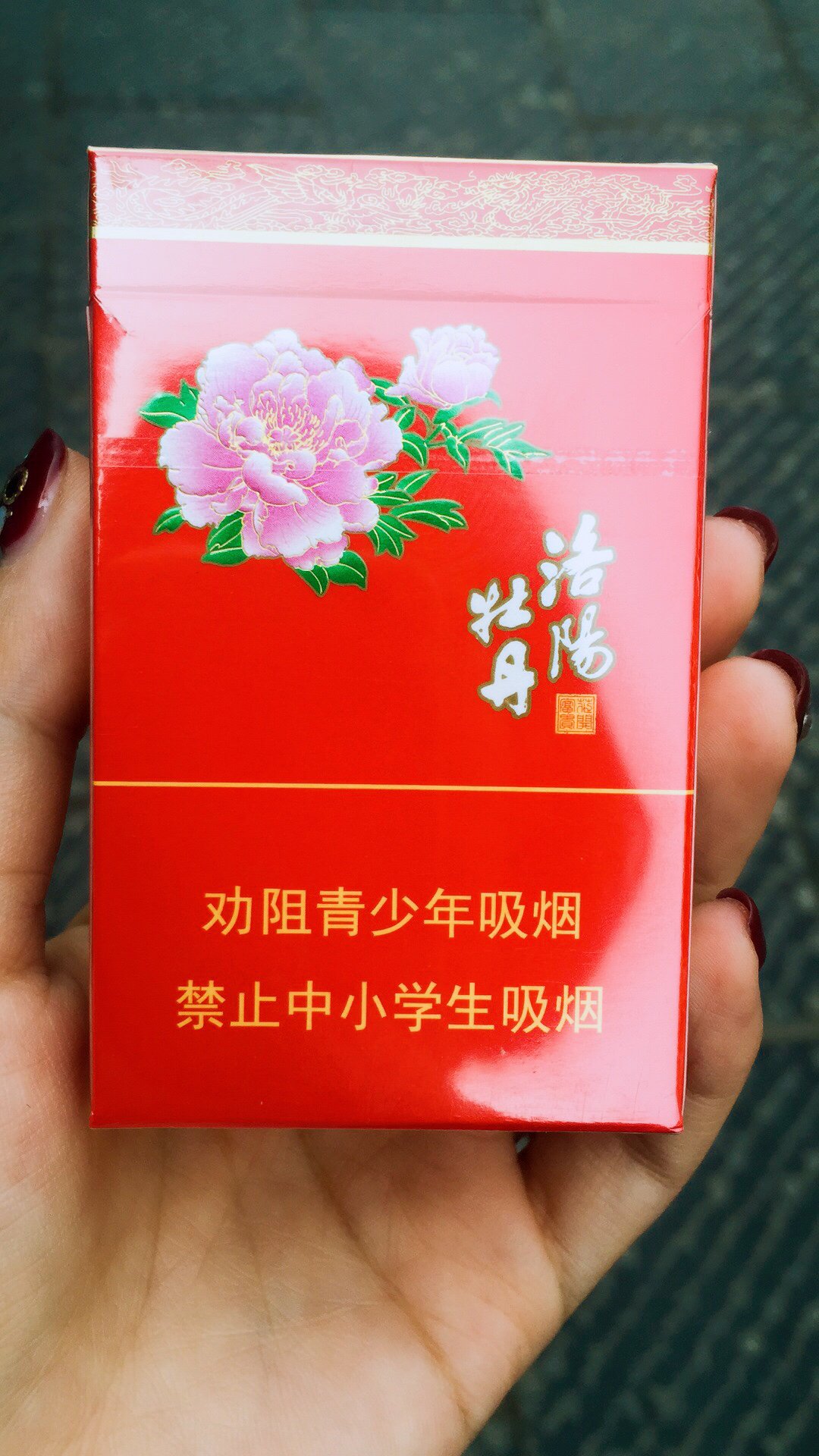 洛阳老街,旅游攻略,自助游,自驾游,自由行,游玩攻略指南【去哪儿攻略