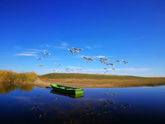 扎龙生态旅游区