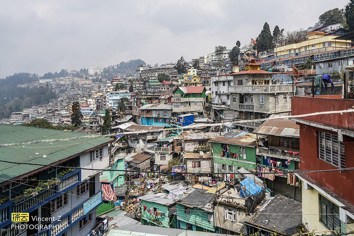 从加尔各答往北飞行一个小时抵达西里古里的巴格多格拉机场(bxi).