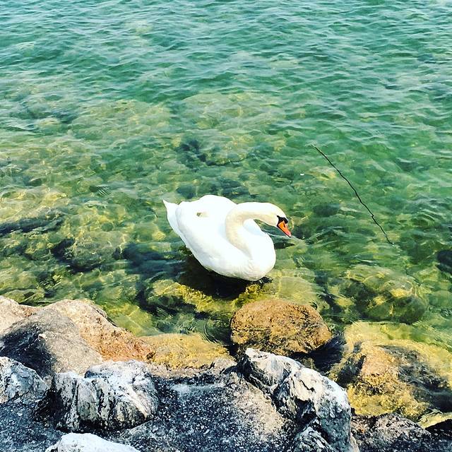 温泉小镇sirmione