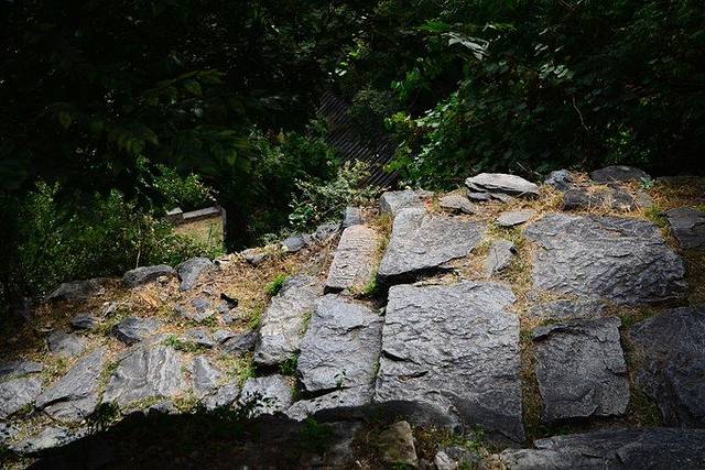 北京鹫峰国家森林公园