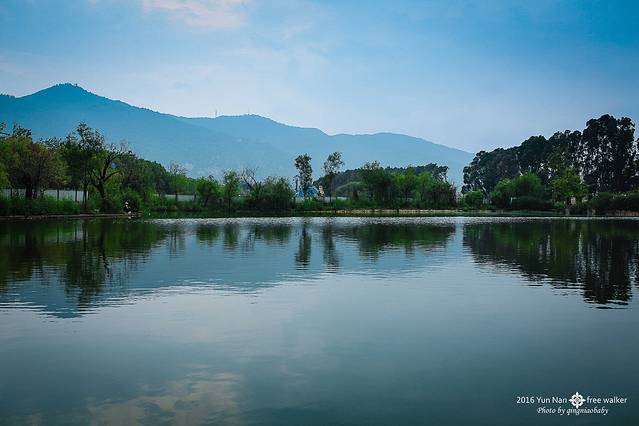 呈贡滇池生态湿地公园