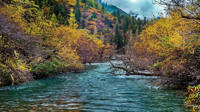 四姑娘山双桥沟景区