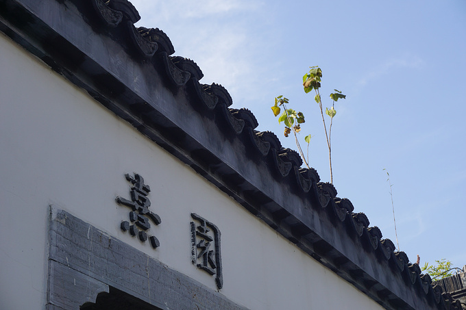 南京南-张府园-夫子庙-紫晶图片