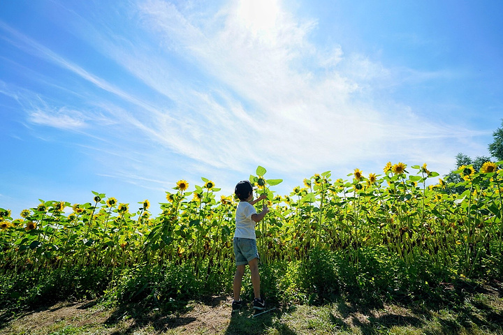 2017坐在长椅上,是不是像极了日本文艺片中的