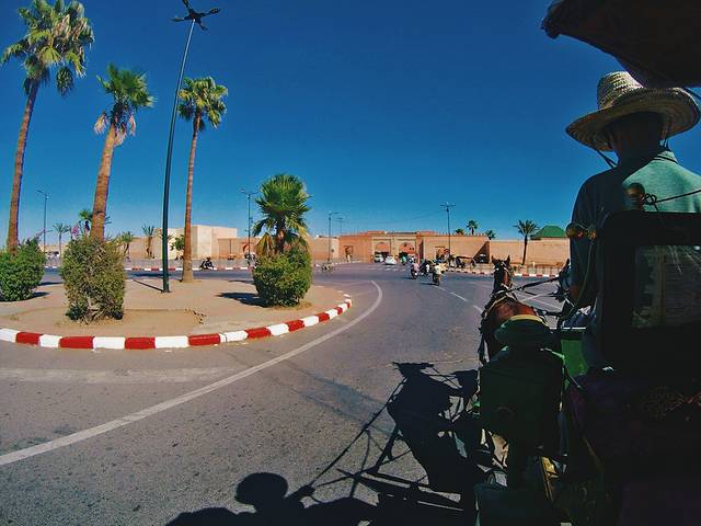 花园艺术博物馆