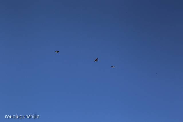 大黑山省级森林公园