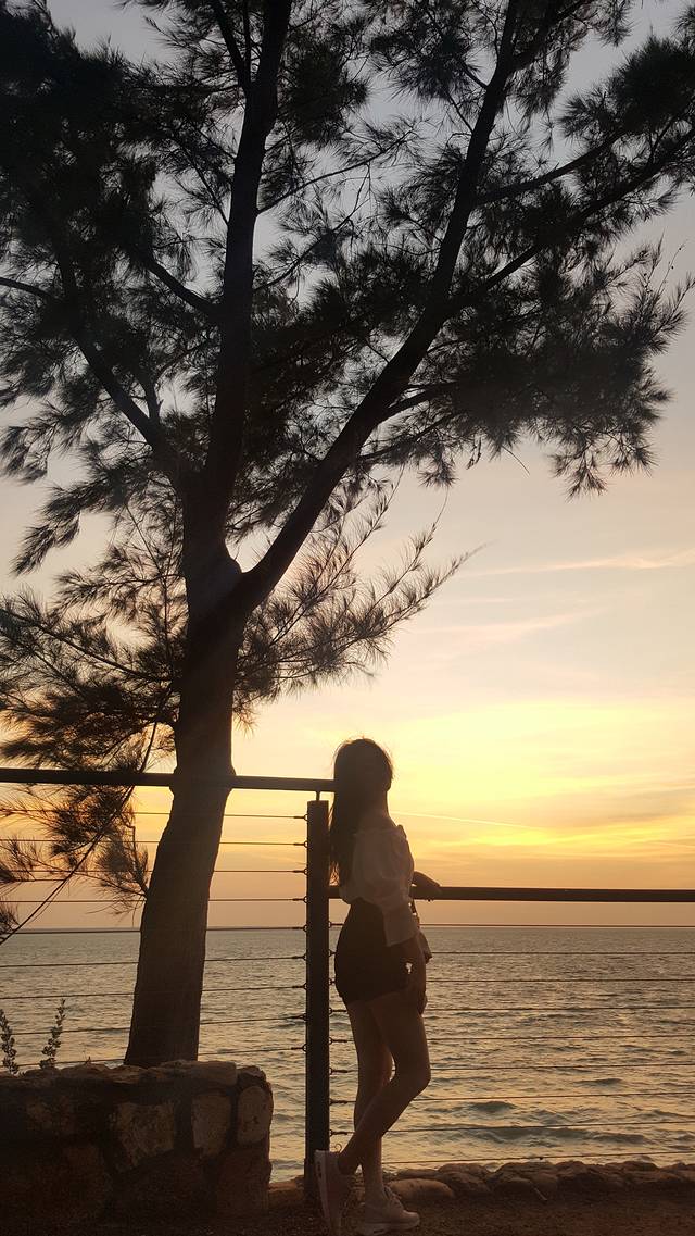 乔治·布朗植物园