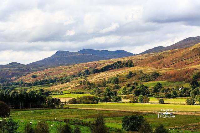 格拉斯哥大教堂