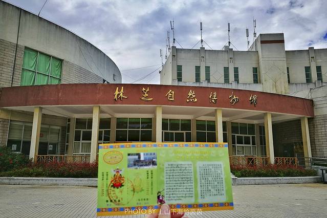 林芝自然博物馆