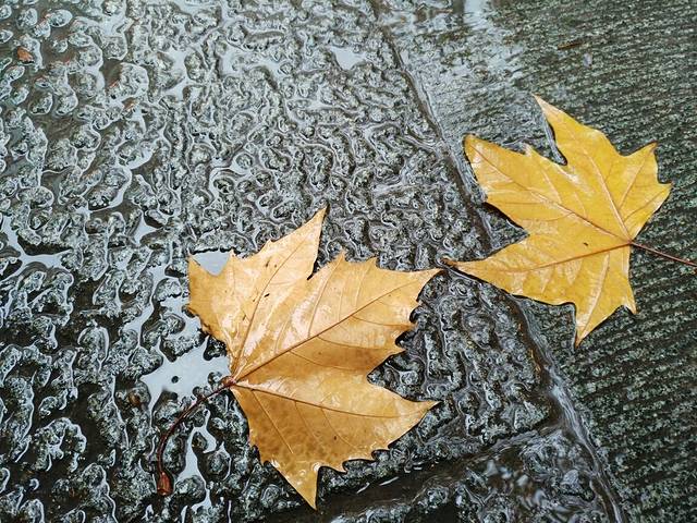 云海肴(上海黄埔日月光店)