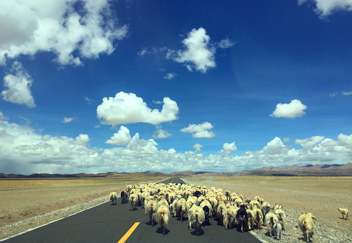 12:15,从帕羊镇出发,行99公里,经过霍尔巴乡,霍尔巴公安二级检查站