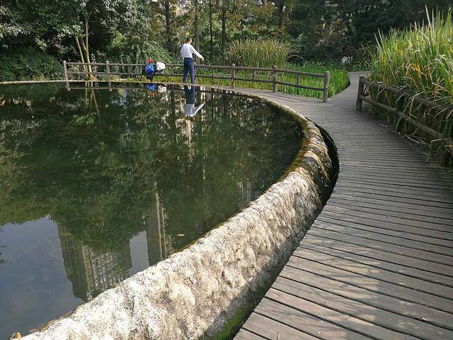 府南河活水公园