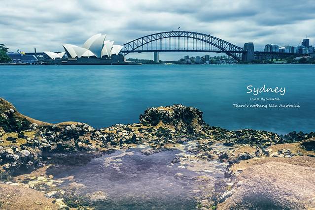 麦考利夫人座椅