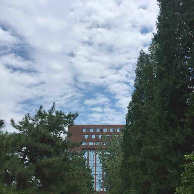 北京外国语大学