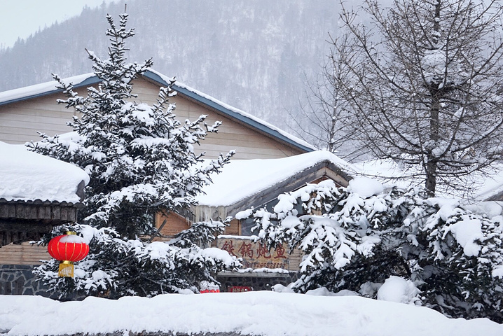 我连雪球都做不好。好看的说不出话。首先我要