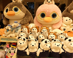 说走就走的旅行－－珠海