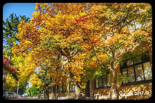 Tohoku University Katahira Campus