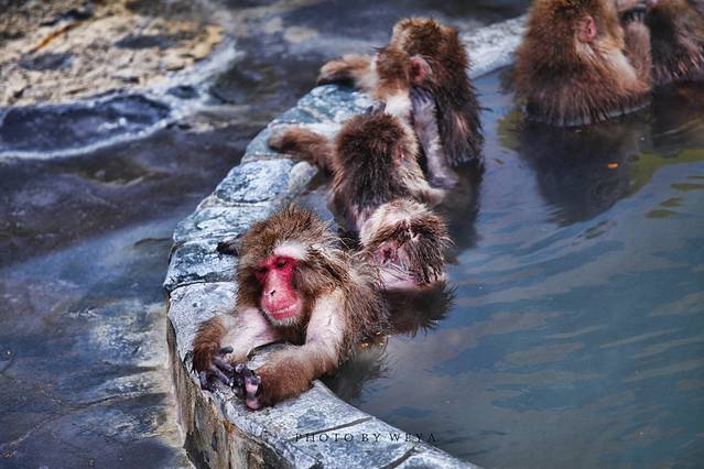 函馆市热带植物园