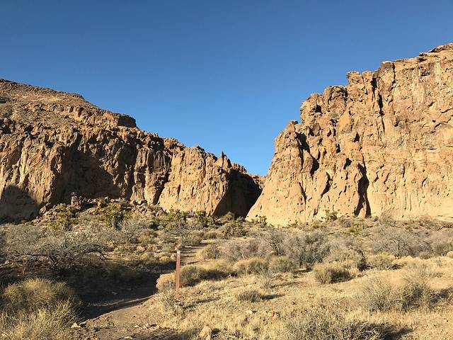 莫哈维国家保护区