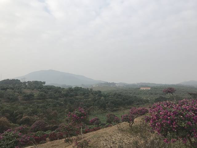 广垦(茂名)国家热带农业公园