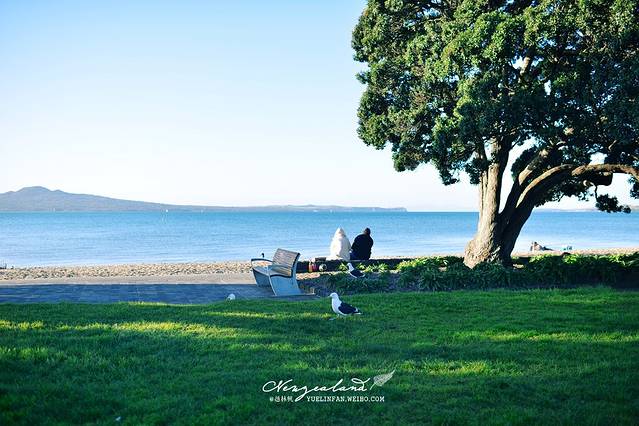 奥克兰海港大桥