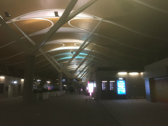 看现在虹桥机场虽也开通了部分国际航班,机场