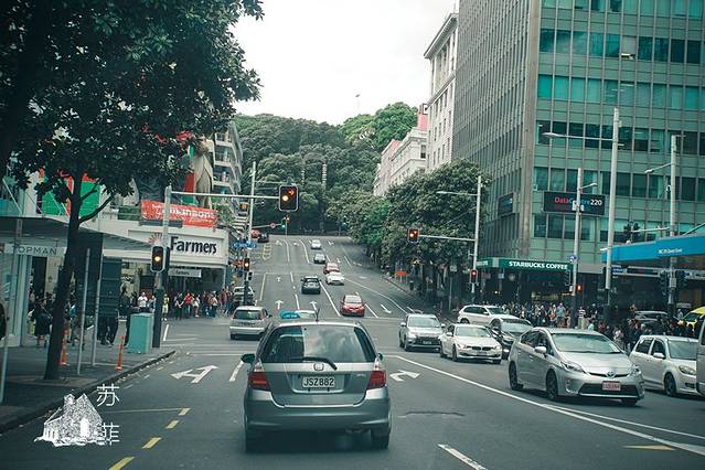 奥克兰天空塔高空漫步