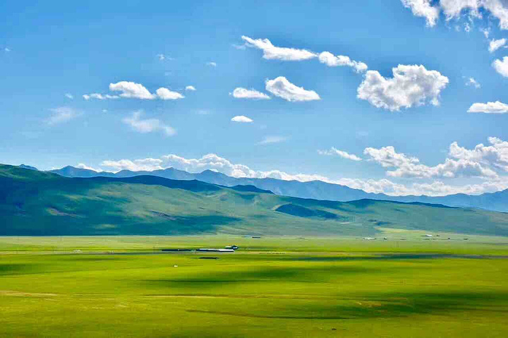 祁连山大草原最美的季节在7-8月份,蓝天白云,低