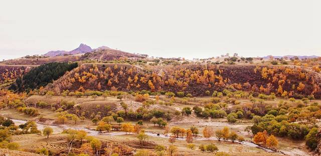 西拉沐沦大峡谷园区