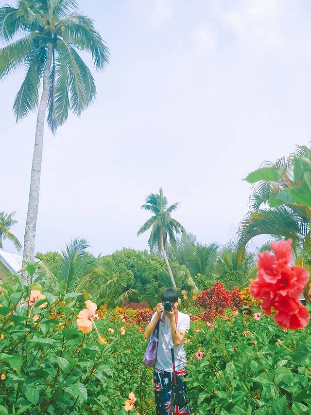 卡罗瓦伊里蝙蝠村