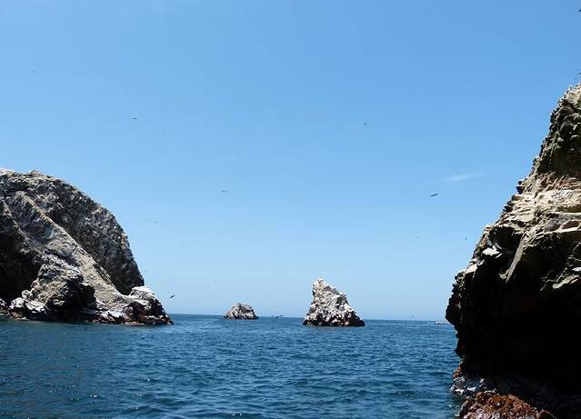 帕拉卡斯国家保护区