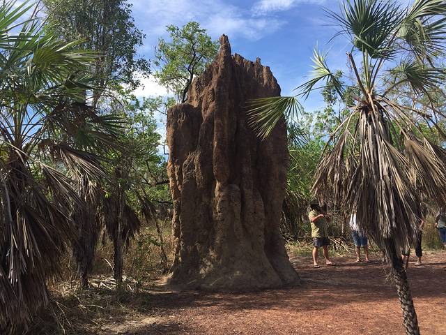 李治菲特国家公园