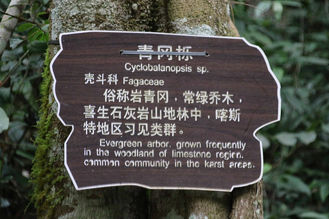 荔波大七孔景区旅游景点攻略图