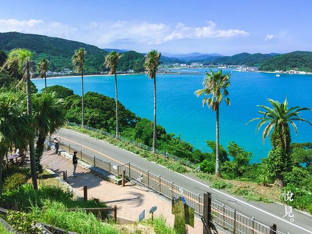 青岛亚热带植物园