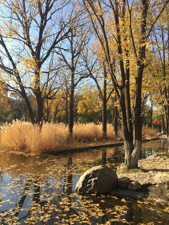 乌兰夫办公旧址