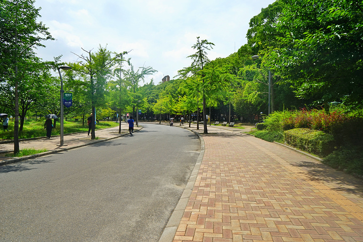 荐:植物园和大阪市立自然史博物馆都在长居公