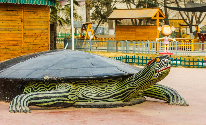 一,汴京公园,看动物们的表演