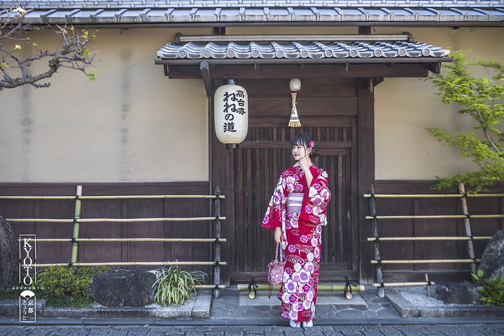 "那高台寺山后的一小片竹林也能带给你片刻的震撼，阳光从缝隙中泄出来，风吹摇曳的竹子相互敲打之声犹..._高台寺"的评论图片