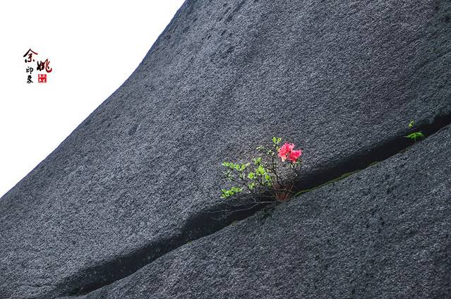 四明山地质公园